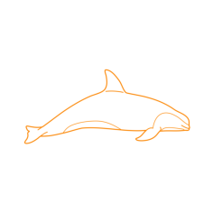 Animals Cetaceans Vaquita Svg Line Art, Free Vectors File